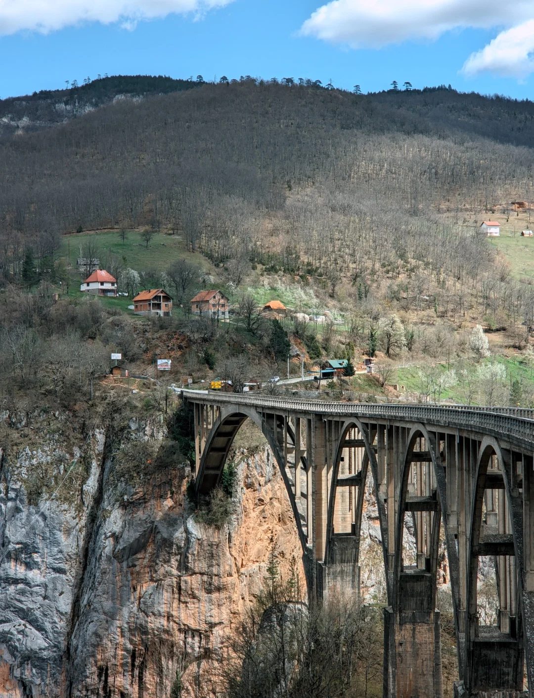 塞尔维亚主场不敌波黑,前景堪忧的简单介绍 塞尔维亚主场不敌波黑,前景堪忧的简单介绍